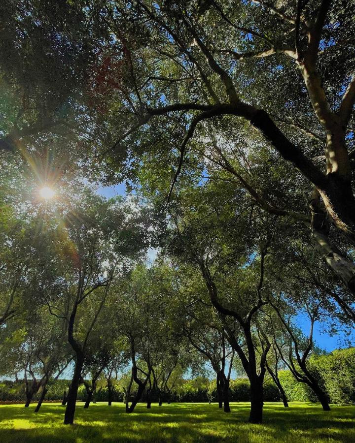 فيلا Sparaniseفي Agriturismo La Caffettiera المظهر الخارجي الصورة