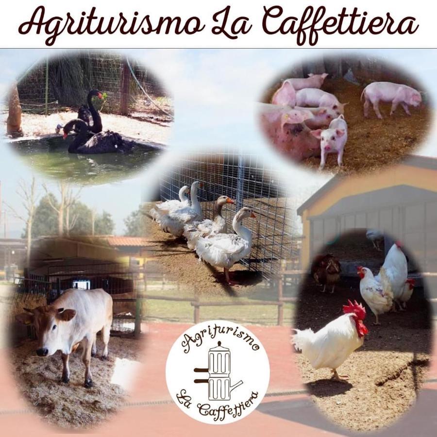 فيلا Sparaniseفي Agriturismo La Caffettiera المظهر الخارجي الصورة